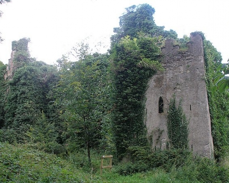 castle-caldwell-2 castle-caldwell-2